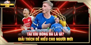 Tài Xỉu Bóng Đá Là Gì? Giải Thích Dễ Hiểu Cho Người Mới