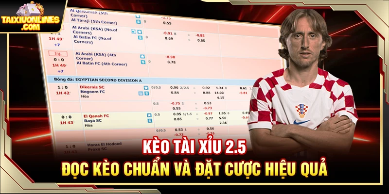 Kèo Tài Xỉu 2.5 - Đọc Kèo Chuẩn Và Đặt Cược Hiệu Quả