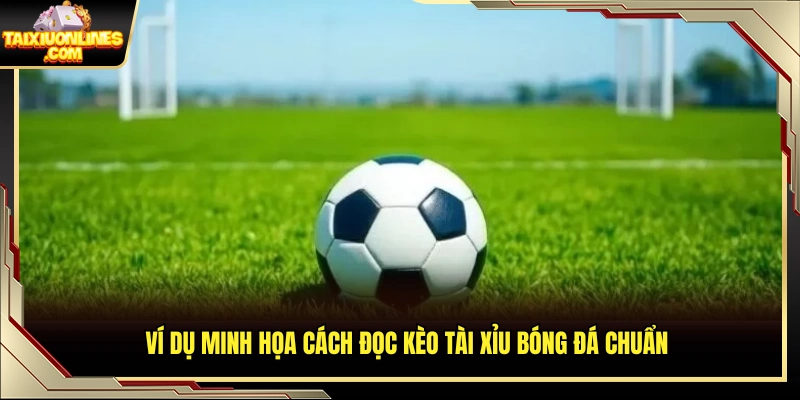 Ví dụ cụ thể giúp hiểu cách đọc kèo tài xỉu bóng đá 